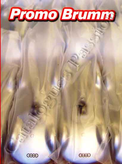 Catalogue Brumm 2009