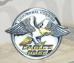Eagle Race